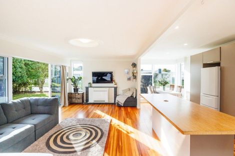 Photo of property in 132 Limbrick Street, Terrace End, Palmerston North, 4410