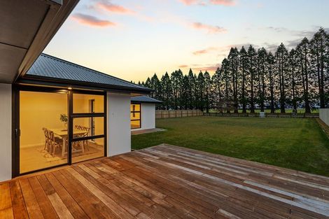 Photo of property in 46 Memorial Crescent, Methven, 7730