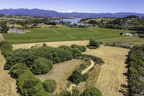 Photo of property in 50 Cliff Road, Tasman, Upper Moutere, 7173