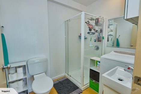 Photo of property in Te Awhina Apartments, 22u1 Sussex Street, Mount Cook, Wellington, 6021