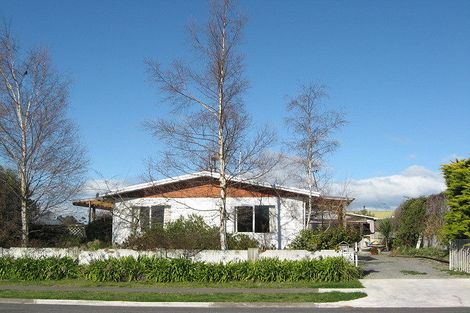 Photo of property in 18 Svenson Road, Waipukurau, 4200