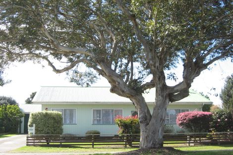 Photo of property in 39 Lahore Street, Wairoa, 4108