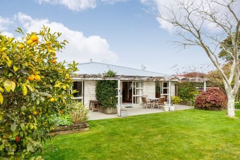 Photo of property in 26 Fiona Crescent, Feilding, 4702