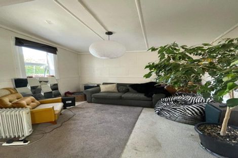 Photo of property in 7 Lipman Street, Mount Victoria, Wellington, 6011