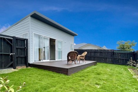 Photo of property in 93a Tiro Tiro Road, Levin, 5510