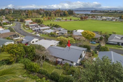 Photo of property in 55 Carlton Street, Bellevue, Tauranga, 3110