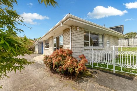 Photo of property in 21a Warrington Street, Matua, Tauranga, 3110