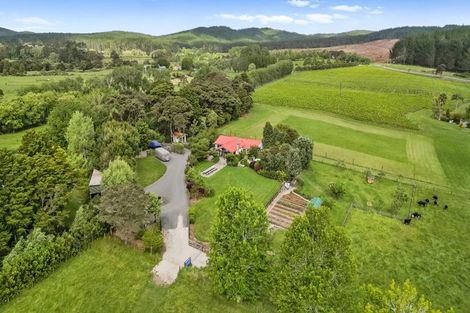 Photo of property in 241a Ararimu Valley Road, Helensville, Waimauku, 0882