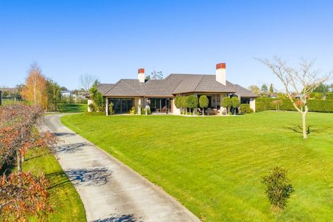 Photo of property in 223f Racecourse Road, Waipukurau, 4282