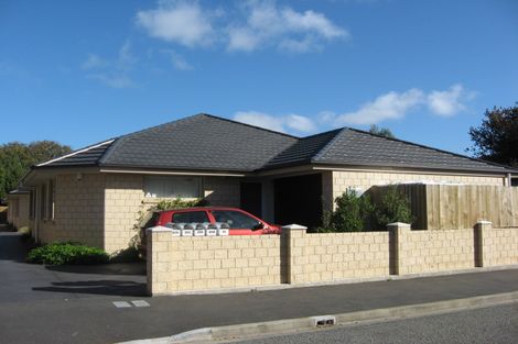 Photo of property in 20b Walpole Street, Waltham, Christchurch, 8023