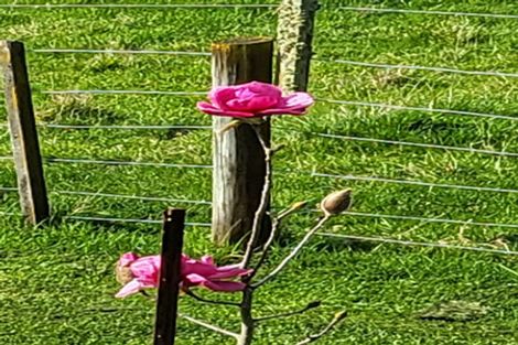 Photo of property in 1 Watts Street, Waipawa, 4210