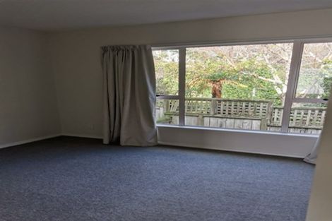 Photo of property in 11/20u Thompson Street, Mount Cook, Wellington, 6011