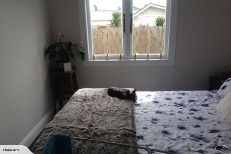 Photo of property in 38 Jellicoe Avenue, Tuakau, 2121