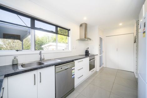 Photo of property in 9 Haggitt Street, Feilding, 4702