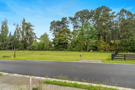 Photo of property in 26 Orchard Road, Greytown, 5712