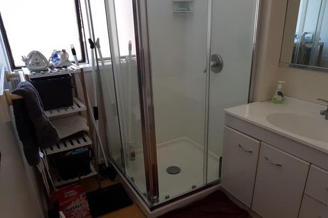 Photo of property in Te Awhina Apartments, 22u3 Sussex Street, Mount Cook, Wellington, 6021