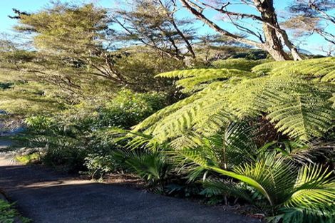 Photo of property in 55 Sylvan Valley Avenue, Titirangi, Auckland, 0604