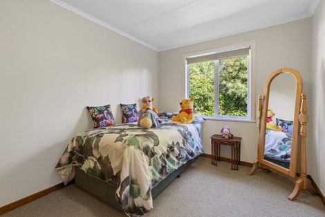 Photo of property in 48 Raetihi Ohura Road, Raetihi, 4696