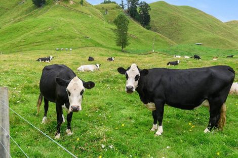 Photo of property in 1765 Tutukau Road, Ohakuri, Reporoa, 3083