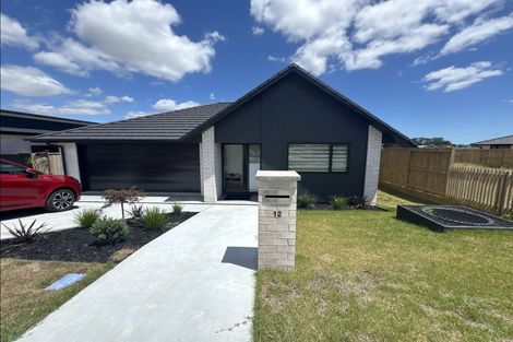 Photo of property in 12 Celeste Terrace, Peacocke, 3206