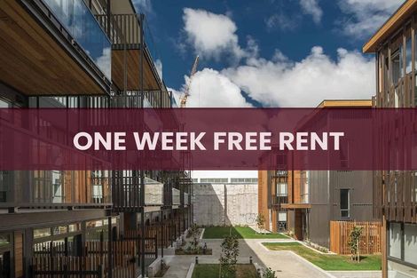 Photo of property in Vedado Apartments, 208/41 Hopper Street, Mount Cook, Wellington, 6011