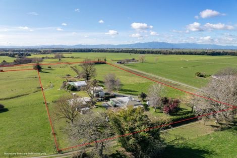 Photo of property in 449 Taukoro Road, Morrinsville, 3375