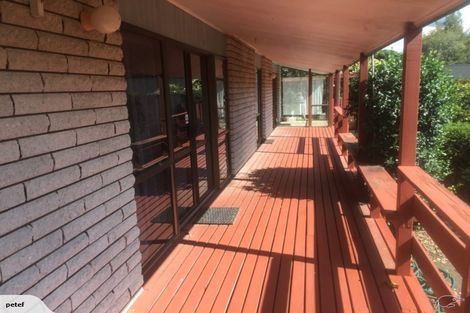 Photo of property in 17 Norrie Street, Te Puke, 3119