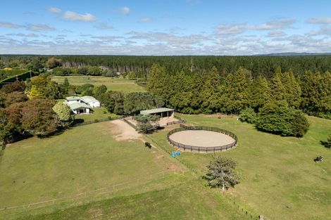 Photo of property in 1280 Omanawa Road, Omanawa, Tauranga, 3171