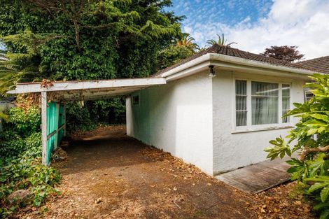 Photo of property in 103 Manawatu Street, Hokowhitu, Palmerston North, 4410