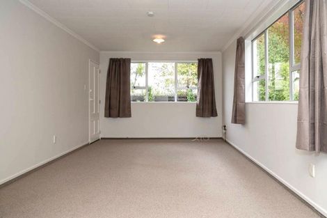 Photo of property in 3/23 Francis Street, Blenheim, 7201