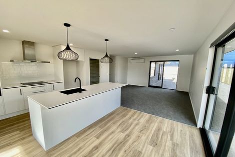 Photo of property in 65 Nethercote Way, Rolleston, 7614