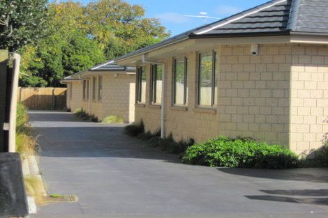 Photo of property in 20c Walpole Street, Waltham, Christchurch, 8023