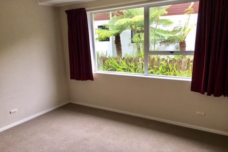 Photo of property in 49 Domett Street, Nelson, 7010