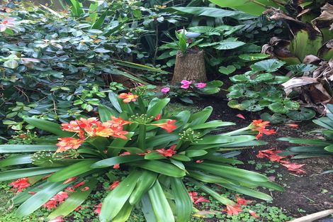 Photo of property in 18 Halyard Loop, Haruru, 0204