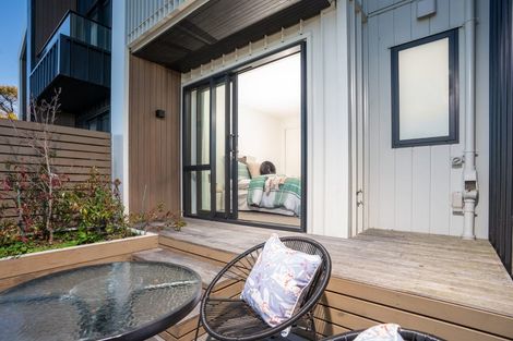 Photo of property in 27c Thompson Street, Mount Cook, Wellington, 6011