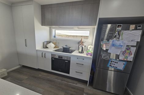 Photo of property in 166 John Burke Drive, Aotea, Porirua, 5024