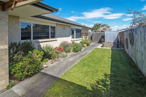 Photo of property in 48a Church Street, Masterton, 5810