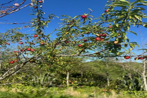 Photo of property in 15 Massey Road, Waipu, 0582
