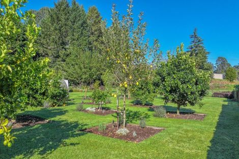 Photo of property in 117 Main Road, Tirau, 3410