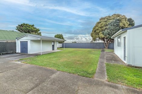 Photo of property in 24 Carlisle Street, Levin, 5510