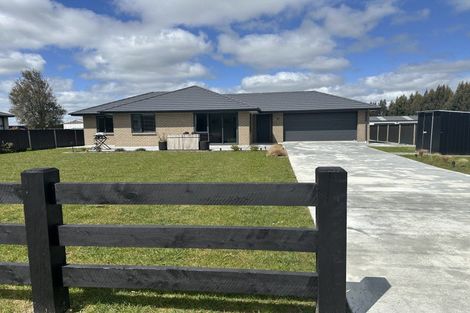 Photo of property in 91 Dejoux Road, Winton, 9720