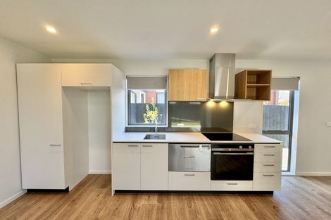 Photo of property in 45 Charles Street, Waltham, Christchurch, 8011