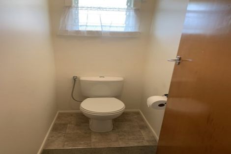 Photo of property in 125 Hutchinson Avenue, New Lynn, Auckland, 0600