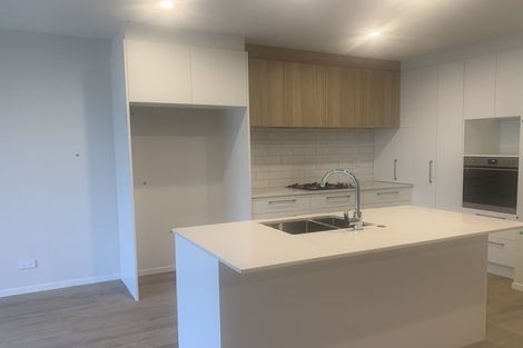 Photo of property in 23 Adlam Lane, Takanini, 2112