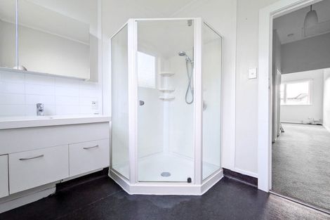 Photo of property in 282 Rintoul Street, Berhampore, Wellington, 6023