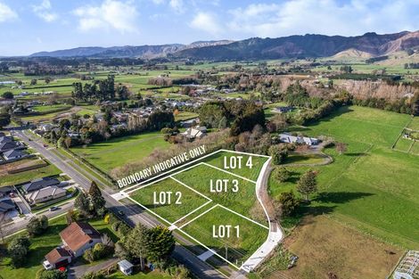 Photo of property in 43 Gillespie Street, Lake Hawea, 9382
