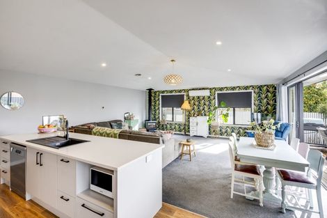 Photo of property in 513 Akina Street, Akina, Hastings, 4122