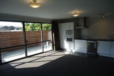 Photo of property in 28u7 Fifth Avenue, Enderley, Hamilton, 3214