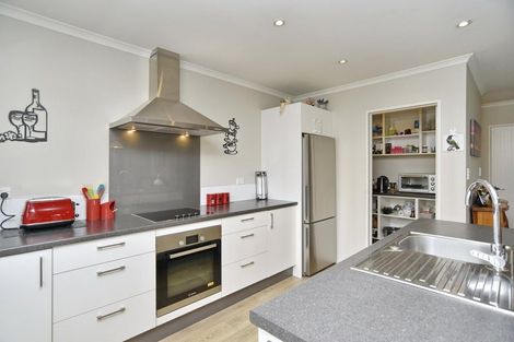Photo of property in 6 Wineberry Avenue, Amberley, 7410