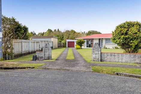 Photo of property in 3 Caesar Street, Stratford, 4332